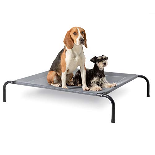 Best Raised Dog Bed Our Top Picks Elevated Dog Beds