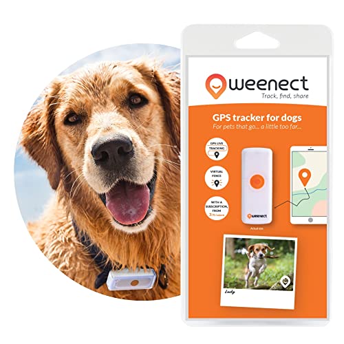 The 6 Best Dog Trackers GPS Dog Trackers UK Buyers Guide