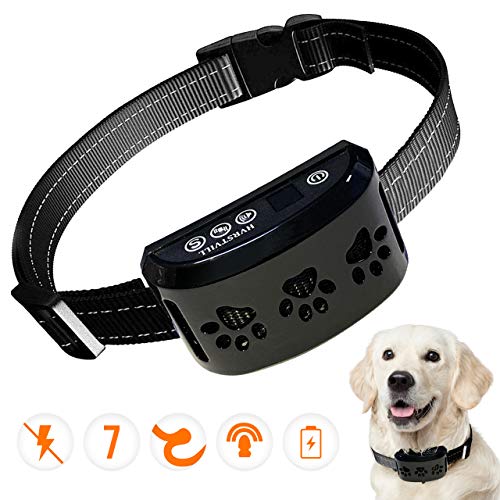 Best Vibrating Dog Collars Vibrating Dog Collar Reviewed & Rated